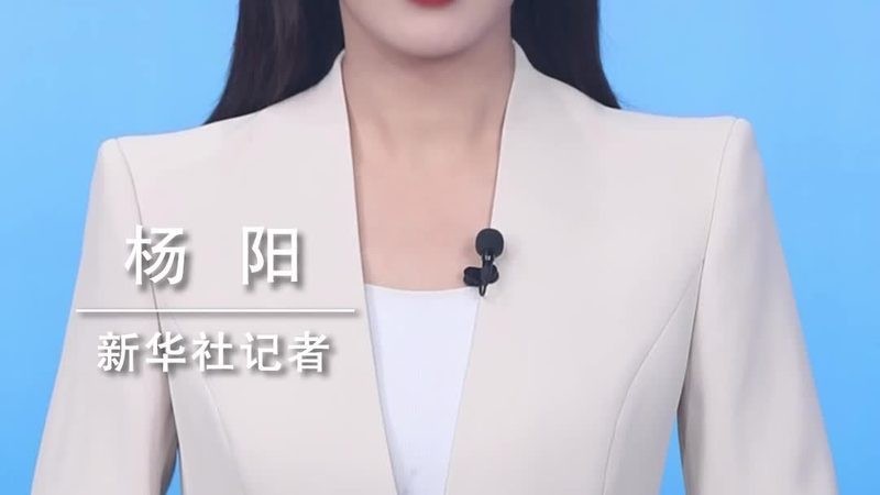 大数据分析解决方案：功能差异解析与选择要点