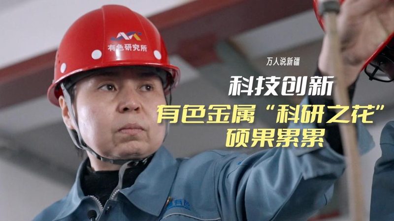 北京企业搜索案例：揭秘高效信息检索之道
