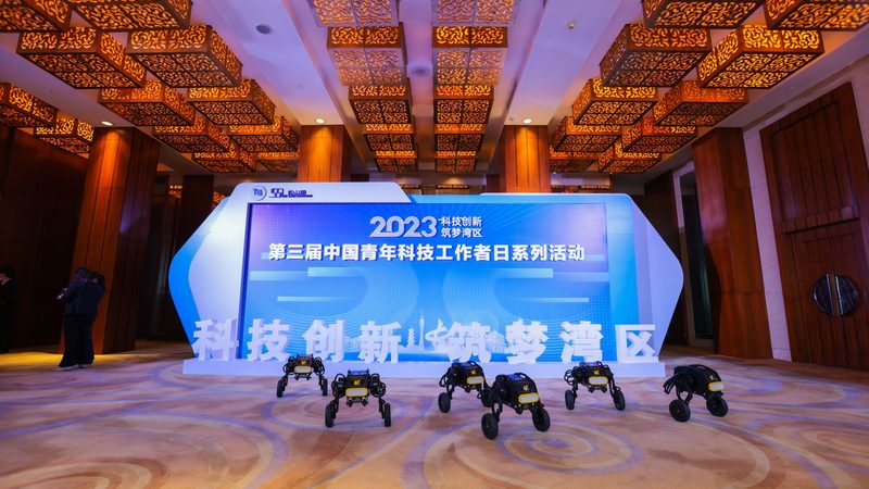 政府企业搜索定制开发：如何满足特定需求的智能解决方案